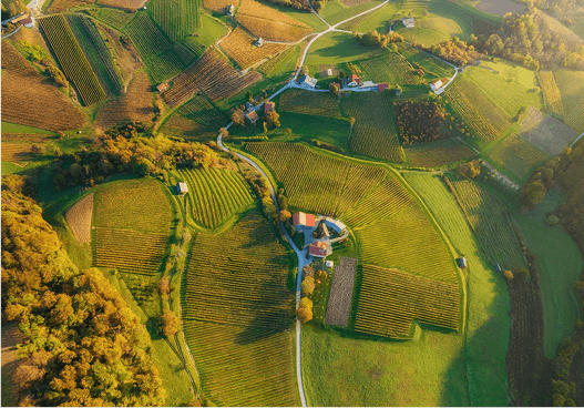 Agriculture & Food Processing