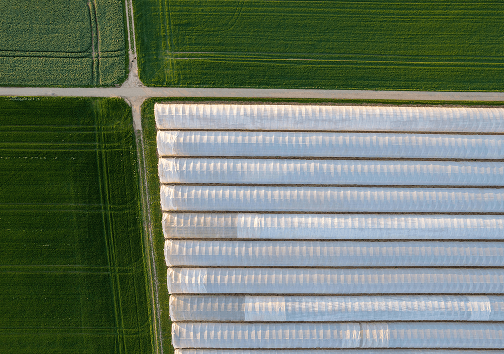 Empowering Rural Growth