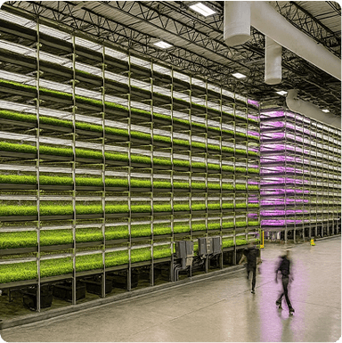 Agriculture & Food Processing