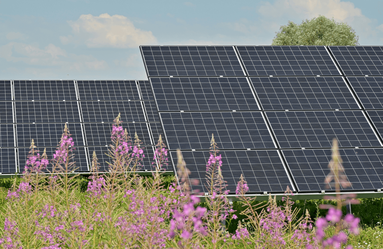 Utility-Scale Solar Farm