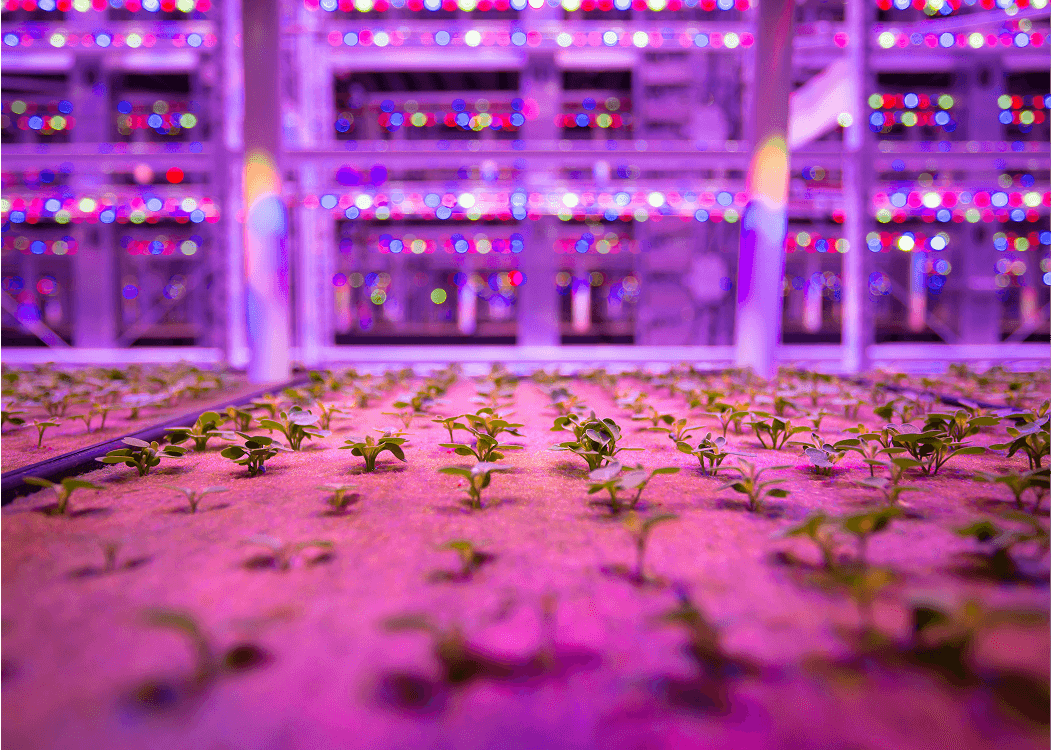 New AeroFarms, Inc. — project image 2