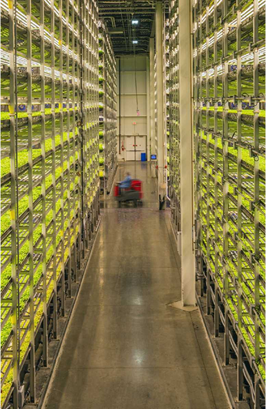 $25 MM Bridge-to-USDA Recapitalization – AeroFarms